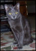 My Yogi One Kanobie