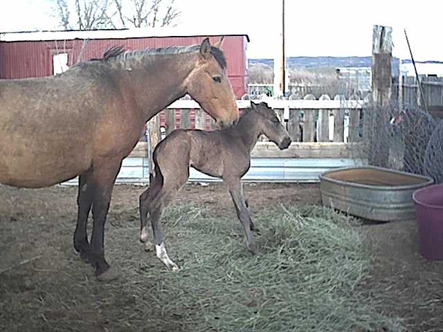 its a boy..!!