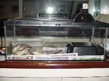 snake encloser