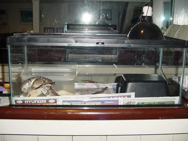 snake encloser