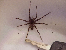 Please help indentify