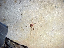 ID????  Please help identify!!