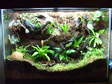 Finished tank