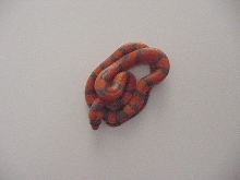 Hypo Tangerine