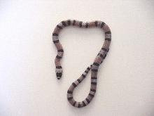 Anery/66%poss Het Hypo