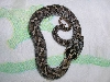 hognose 2