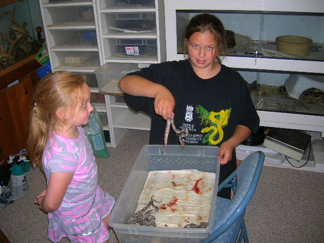 my helpers with babies