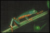 tiger-barred monkey frog