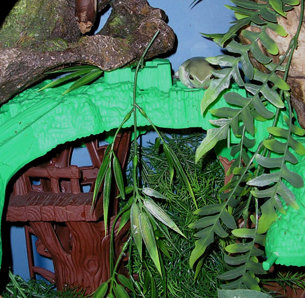 Arthur and his tree house
