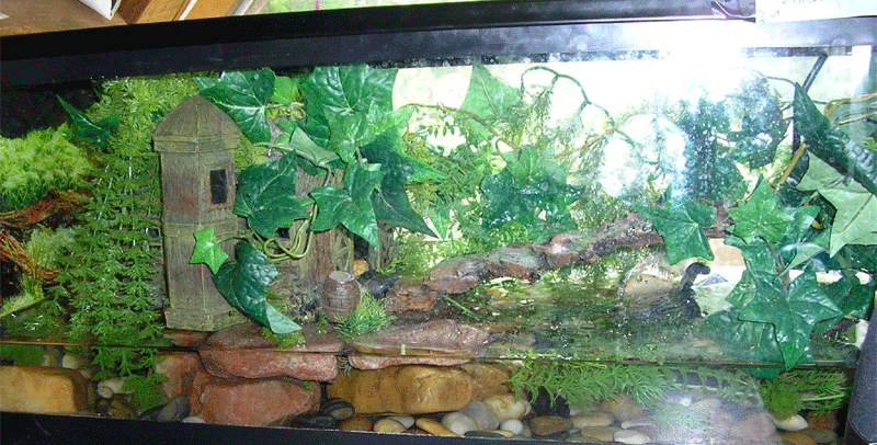 Another setup for firebellies