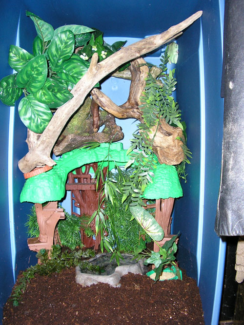 Arthur's treehouse