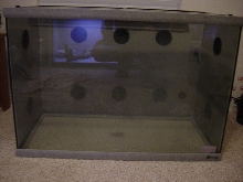 70 gallon lizard lounge