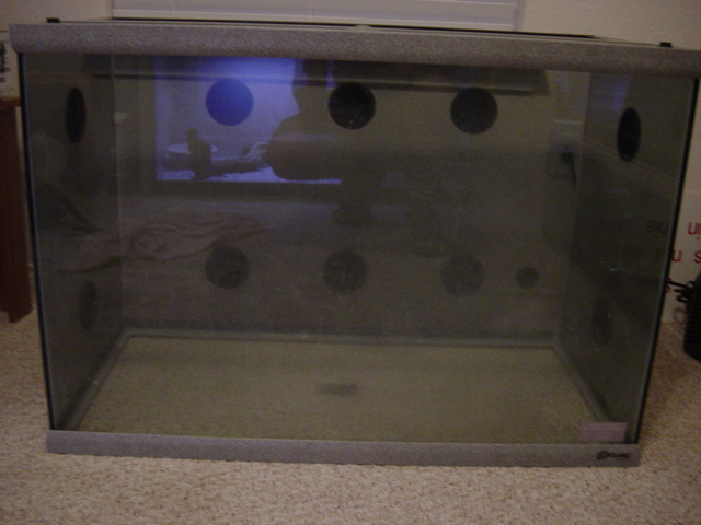 70 gallon lizard lounge