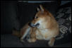 Kita (profile)
