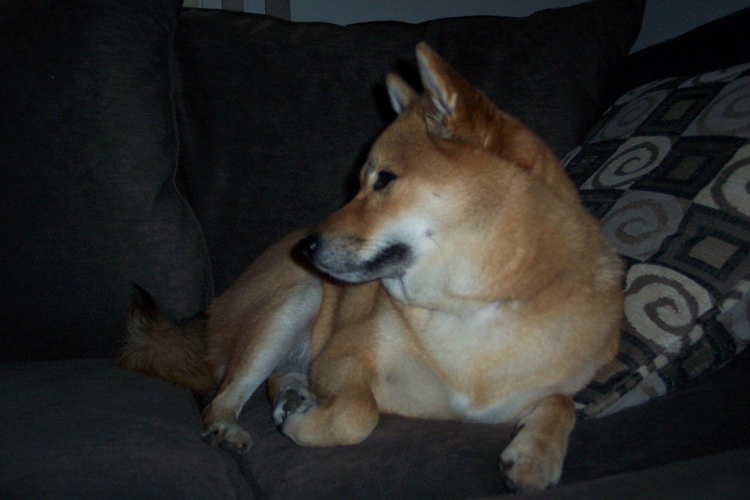 Kita (profile)