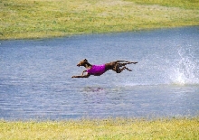 Aether Walking on Water