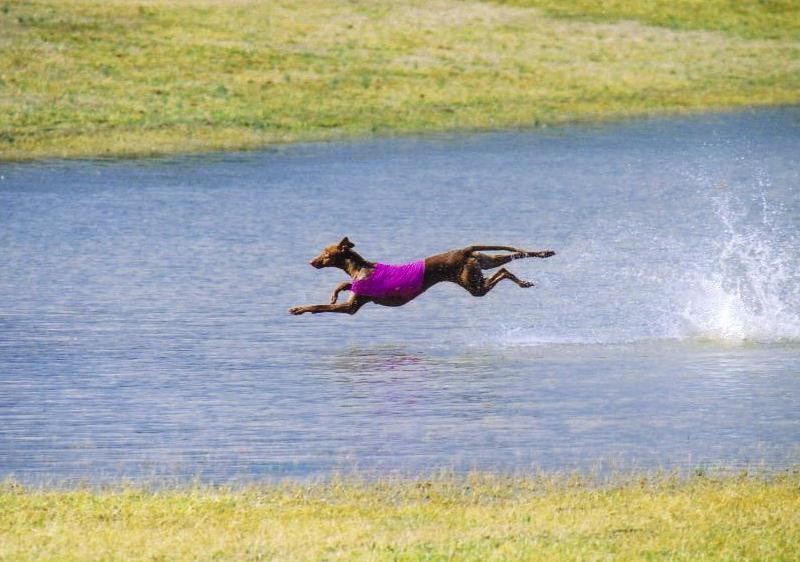 Aether Walking on Water