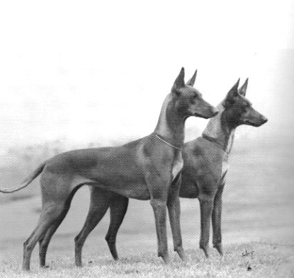 Khara & Jewel