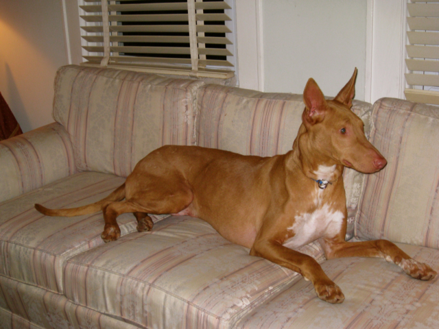 New rescue