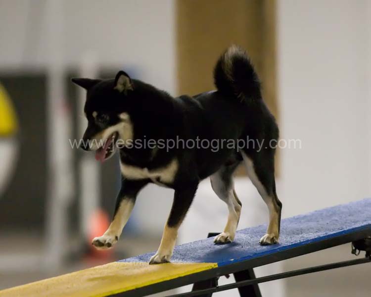 Taiko on teeter at CPE trial