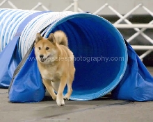 Kita at CPE trial in tunnel