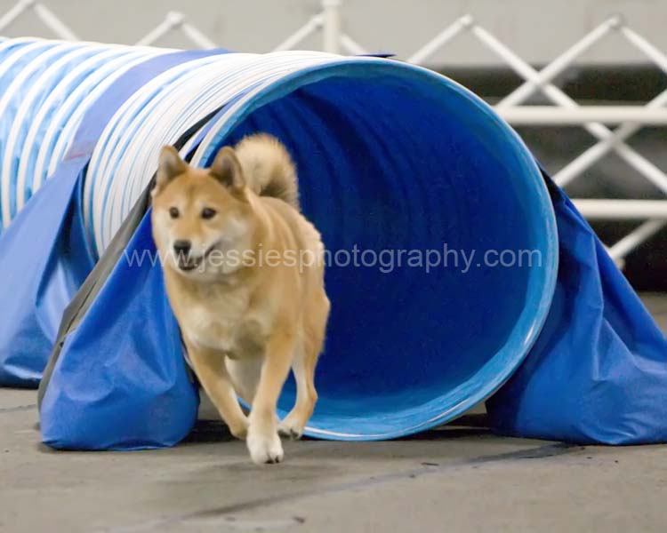 Kita at CPE trial in tunnel