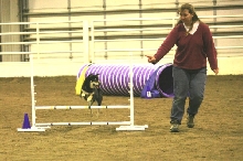 Taiko Jumpers Run CPE Trial