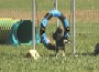 Taiko CPE trial #2