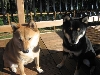 Kita and Taiko on new deck