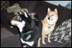 Kita and Tako