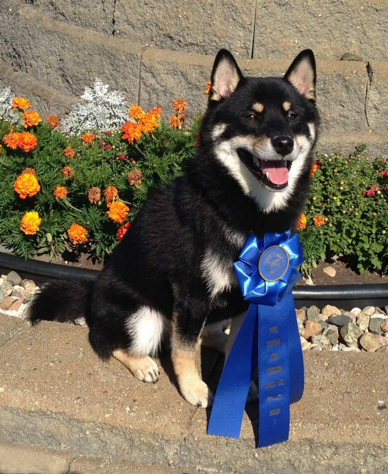 Legend showing off after a show