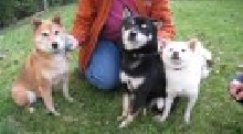 Natasha, Kita and Taiko