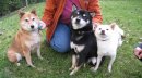 Natasha, Kita and Taiko