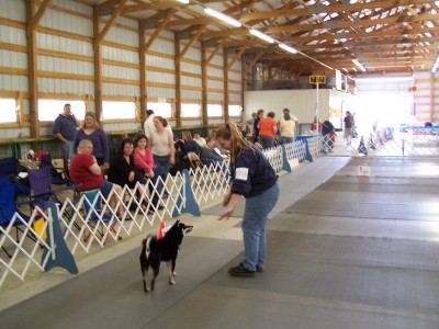 Rally picture 1