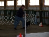 Rally Show pic #2