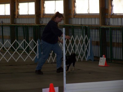 Rally Show pic #2