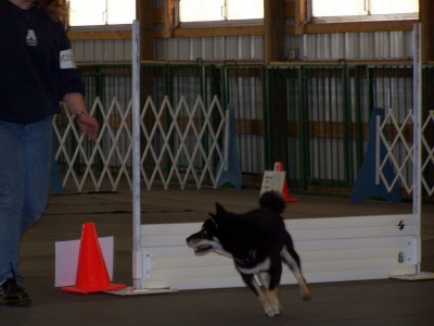 Rally Show Pic #3