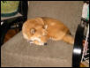 Kita sleeping- tired out from too mcuh playing