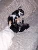 Taiko Resting Up-Side-Down