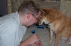 Shiba Inu Telepathy