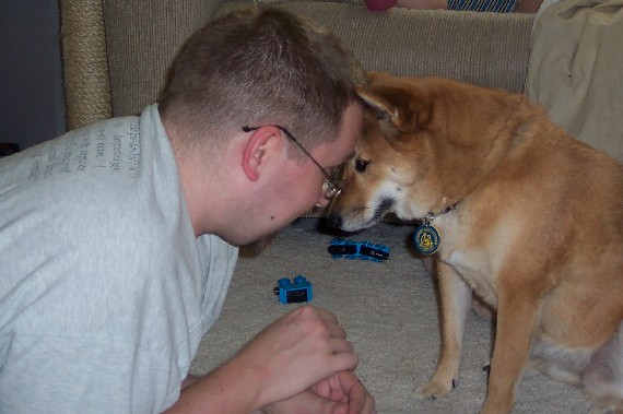 Shiba Inu Telepathy