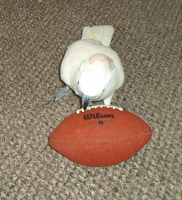 Baby Playing Football