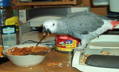 Pepper eating