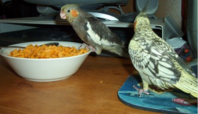 Sparkie and Bubba