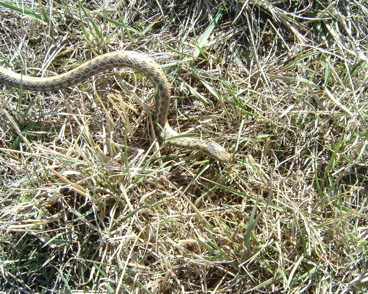 First ones in the field in '07.