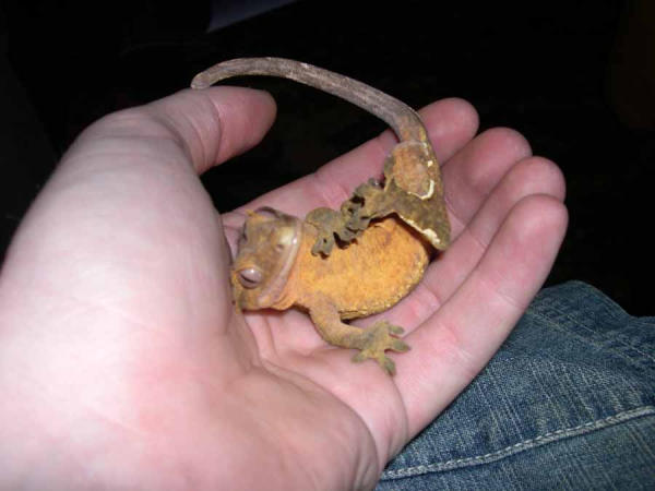 cuteness