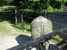 Rhino1