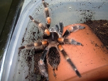 BsmithiAug09b