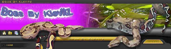 "Boas By Klevitz" Logo