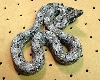 Argentine Boa